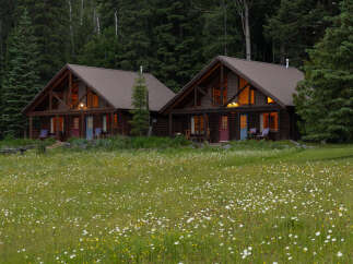 Experience the serene beauty of these charming log cabins nestled amidst a lush forest and a vibrant meadow dotted with wildflowers.