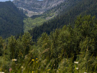 Experience the breathtaking beauty of this mountain landscape, perfect for a serene getaway or a dream home location.
