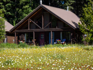 Experience the charm of this rustic log cabin nestled amidst a vibrant meadow of wildflowers.