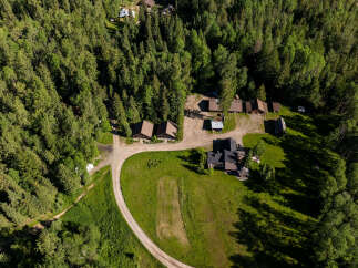 Discover this serene forest retreat featuring multiple charming cabins nestled amongst lush greenery.