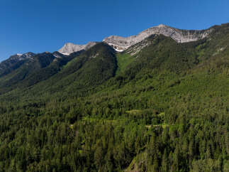 Discover breathtaking mountain views and lush forest landscapes from this stunning property.