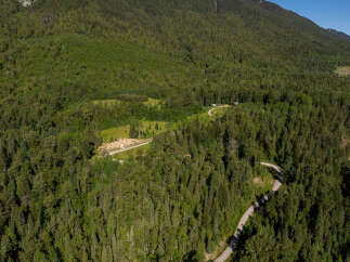 Discover your private mountain retreat nestled amidst a lush, mature forest.