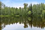 Escape to this serene lakeside property, offering breathtaking natural beauty and tranquil waters.