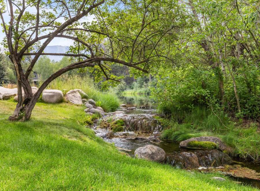 Escape to this serene natural oasis featuring a charming stream with gentle waterfalls flowing through lush greenery.