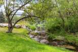 Escape to this serene natural oasis featuring a charming stream with gentle waterfalls flowing through lush greenery.