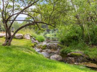 Escape to this serene natural oasis featuring a charming stream with gentle waterfalls flowing through lush greenery.