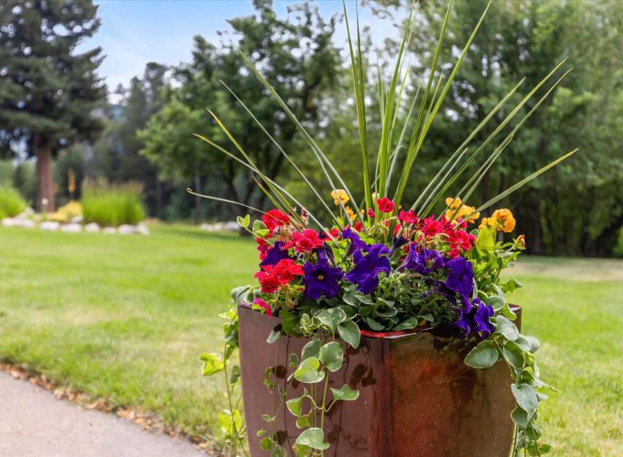 Enhance your outdoor living space with this stunning planter, featuring a vibrant mix of red, purple, and yellow flowers cascading over a glossy, square container.