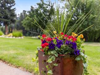 Enhance your outdoor living space with this stunning planter, featuring a vibrant mix of red, purple, and yellow flowers cascading over a glossy, square container.
