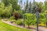 Discover a lush garden oasis featuring raised garden beds brimming with fresh produce and herbs.