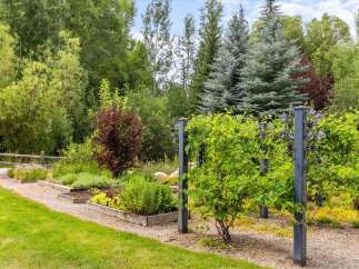 Discover a lush garden oasis featuring raised garden beds brimming with fresh produce and herbs.
