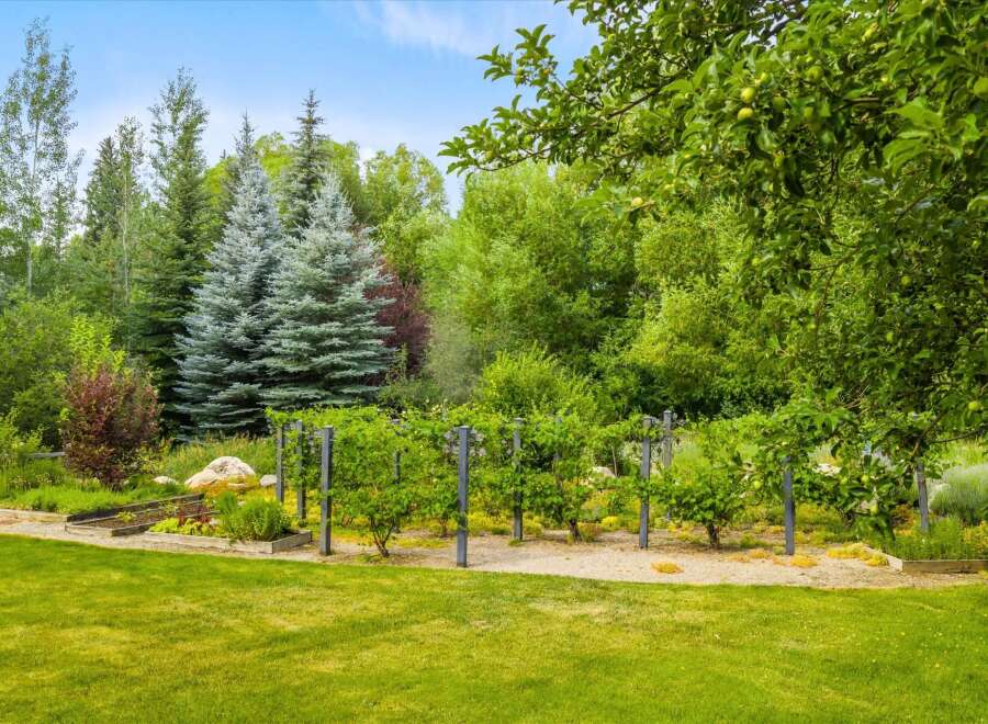 Discover a lush backyard oasis featuring a vibrant garden with raised beds and a trellised vineyard, perfect for cultivating your own produce.