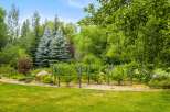 Discover a lush backyard oasis featuring a vibrant garden with raised beds and a trellised vineyard, perfect for cultivating your own produce.