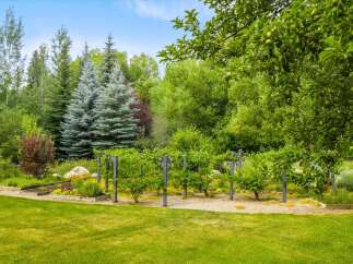 Discover a lush backyard oasis featuring a vibrant garden with raised beds and a trellised vineyard, perfect for cultivating your own produce.