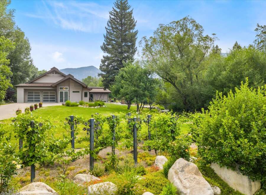 Discover this stunning property featuring a modern home with a spacious garage and a beautiful vineyard in the foreground.