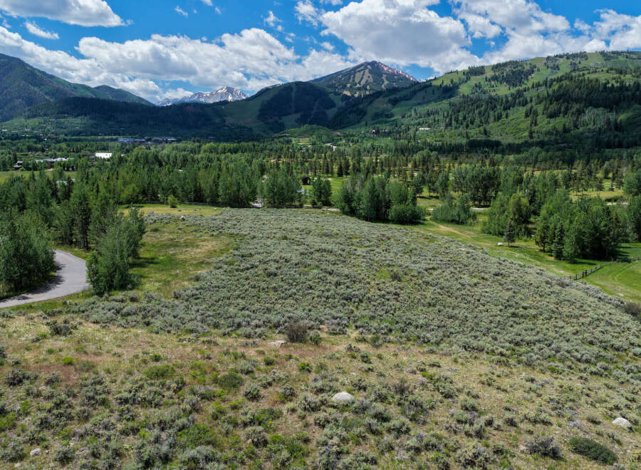 Discover this expansive undeveloped land offering breathtaking mountain views and a serene natural setting.
