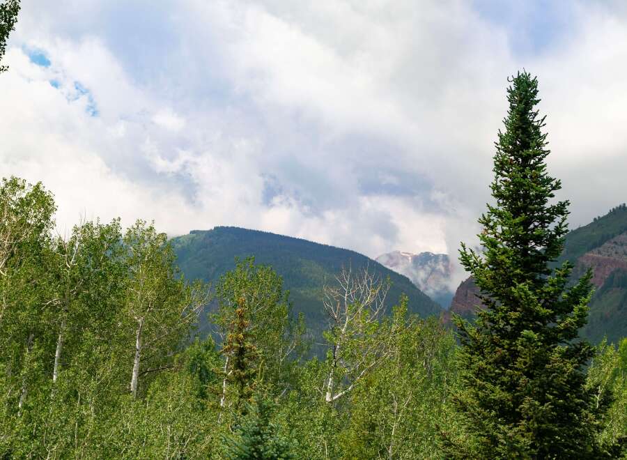Escape to this stunning mountain property, offering breathtaking views of snow-capped peaks and lush green forests.