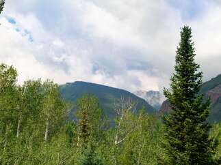 Escape to this stunning mountain property, offering breathtaking views of snow-capped peaks and lush green forests.