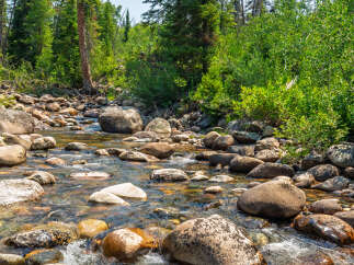 Discover a serene mountain retreat with a crystal-clear river flowing through a lush forest.
