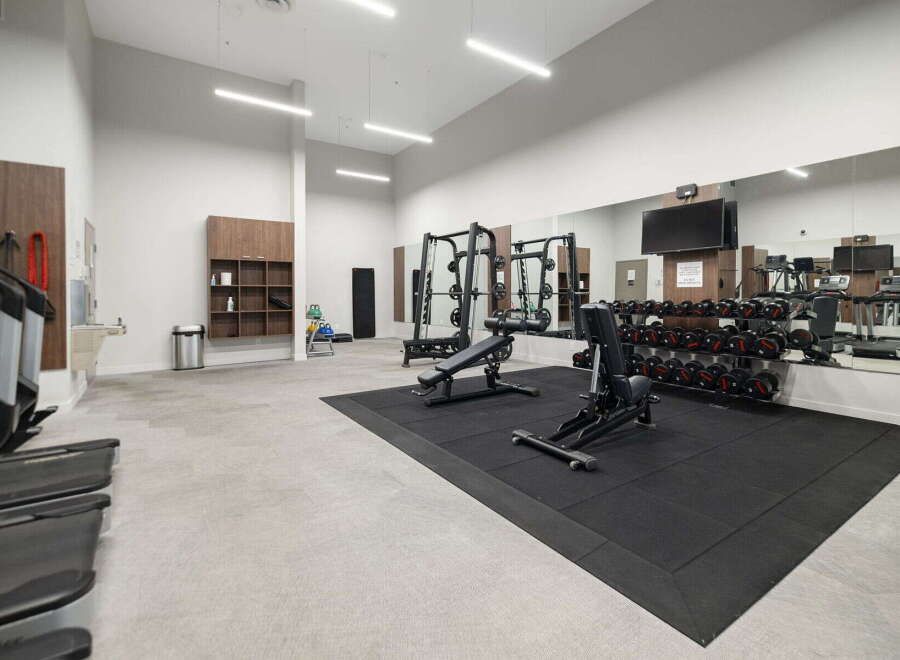 This modern gym features a comprehensive selection of free weights, including a full dumbbell rack, and a variety of cardio machines like treadmills.