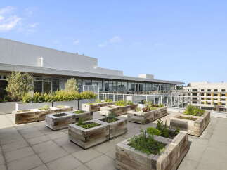 Discover urban oasis living with this stunning rooftop garden featuring numerous raised wooden planters brimming with lush greenery and vibrant flowers.