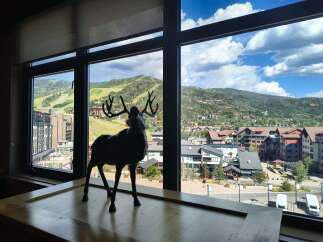 Experience breathtaking mountain views from this stunning property, perfect for nature lovers and outdoor enthusiasts.