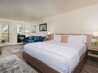 Experience comfort and style in this beautifully appointed hotel room, featuring a plush king-sized bed and a cozy seating area with a blue sofa.
