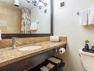 This bathroom features a granite countertop vanity with a modern chrome faucet and an undermount sink.