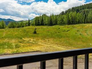 Experience the breathtaking natural beauty surrounding this property, featuring expansive green meadows and a dense forest backdrop.