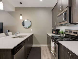 This modern kitchen features sleek, dark wood cabinetry complemented by a bright white quartz countertop and backsplash.