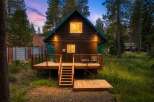 Experience the charm of this rustic cabin nestled among tall pine trees, perfect for a serene getaway.