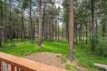 Nestled within a serene pine forest, this property offers a tranquil escape surrounded by nature's beauty.