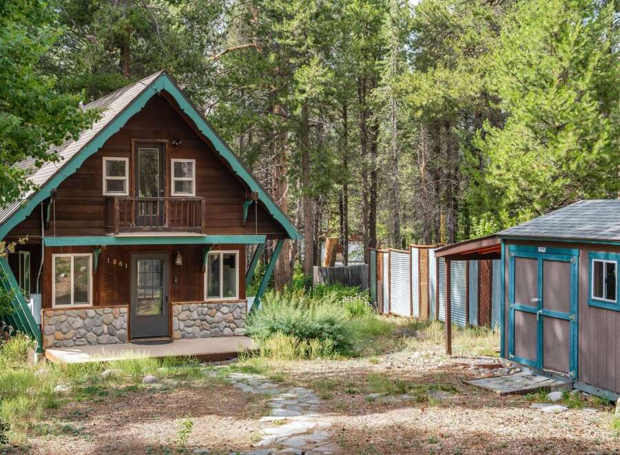 Charming rustic cabin nestled among tall pine trees, offering a serene mountain getaway.