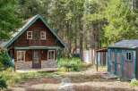 Charming rustic cabin nestled among tall pine trees, offering a serene mountain getaway.