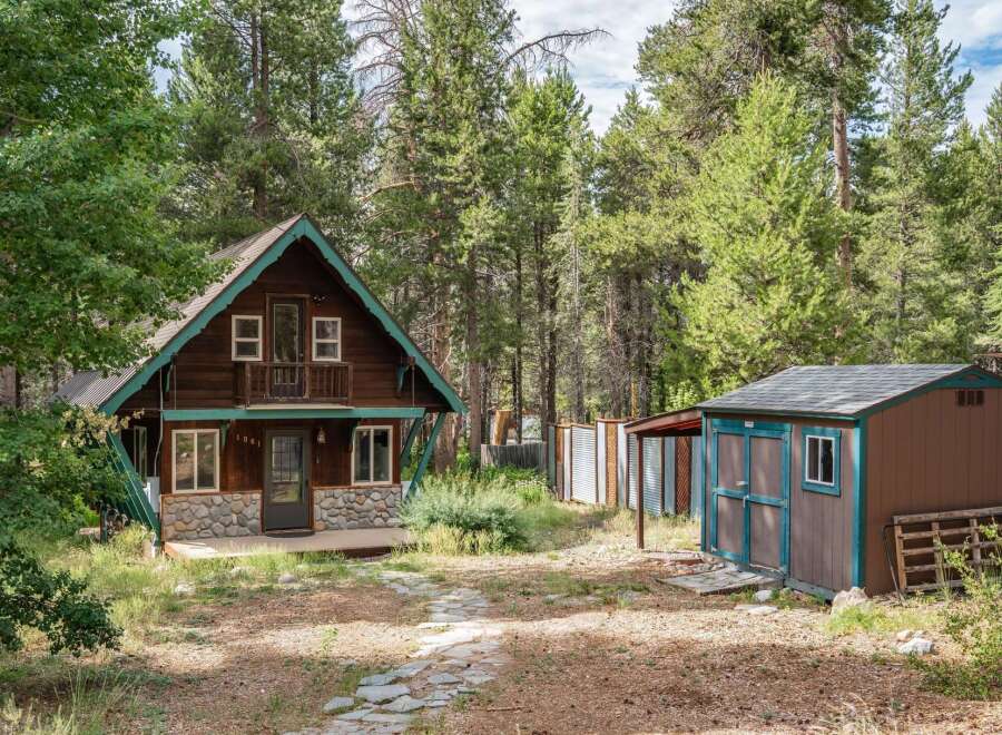 Nestled amongst tall pine trees, this charming cabin offers a rustic retreat.