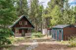 Nestled amongst tall pine trees, this charming cabin offers a rustic retreat.