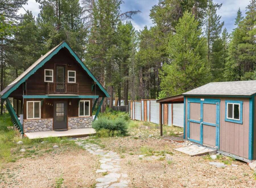 Charming rustic cabin nestled among tall pine trees, offering a serene mountain getaway.
