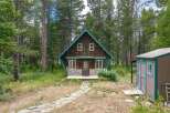 Escape to this charming cabin nestled amongst tall pine trees, offering a serene retreat.