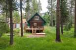 Nestled among tall pine trees, this charming cabin offers a serene retreat.