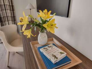 This inviting space features a comfortable armchair and a stylish wooden desk, perfect for work or relaxation.