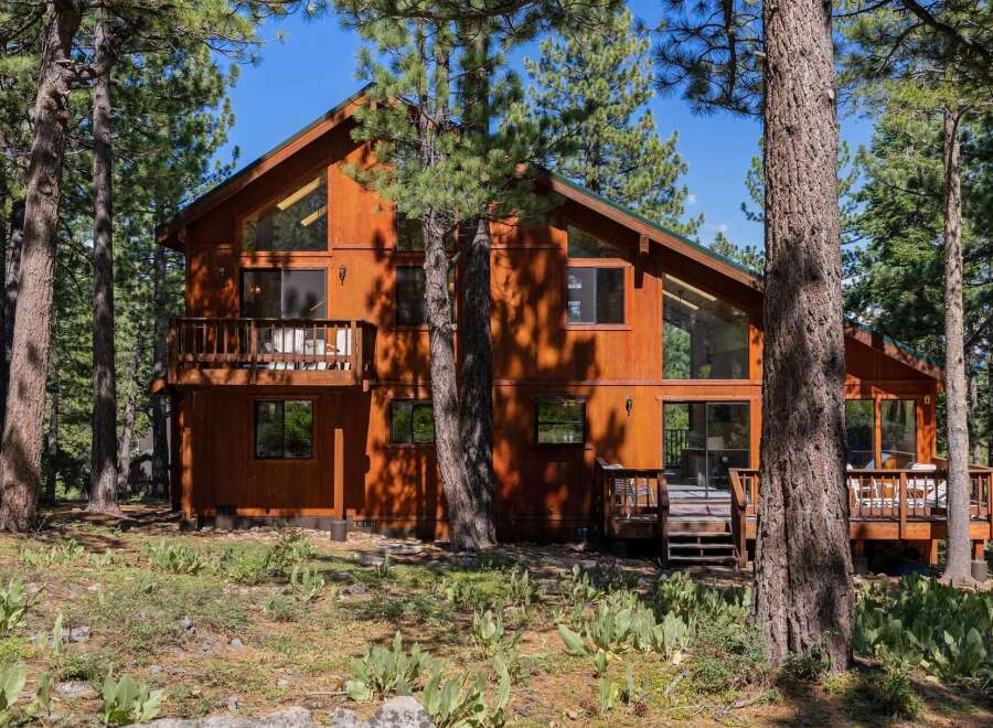 Nestled amidst tall pine trees, this stunning wooden cabin offers a serene retreat.