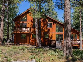 Nestled amidst tall pine trees, this stunning wooden cabin offers a serene retreat.
