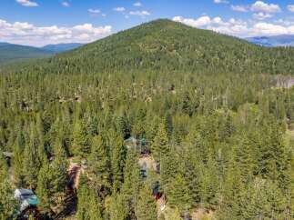 Nestled amidst a dense forest of mature pine trees, this property offers a secluded mountain retreat.