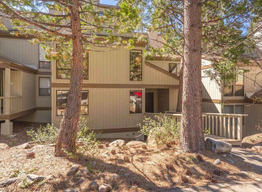 Nestled amongst tall pine trees, this charming property offers a serene mountain retreat.