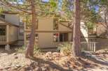 Nestled amongst tall pine trees, this charming property offers a serene mountain retreat.