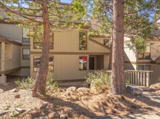 Nestled amongst tall pine trees, this charming property offers a serene mountain retreat.