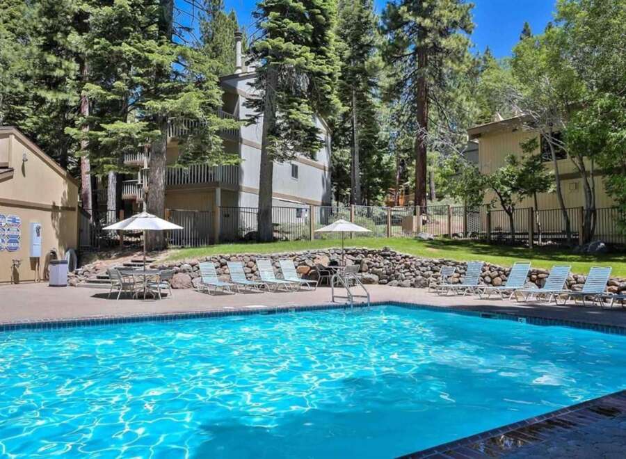 Enjoy a refreshing dip in this stunning outdoor swimming pool, surrounded by lush greenery and mature trees.