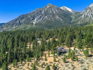 Nestled amidst a dense pine forest, this stunning property offers a serene mountain retreat.