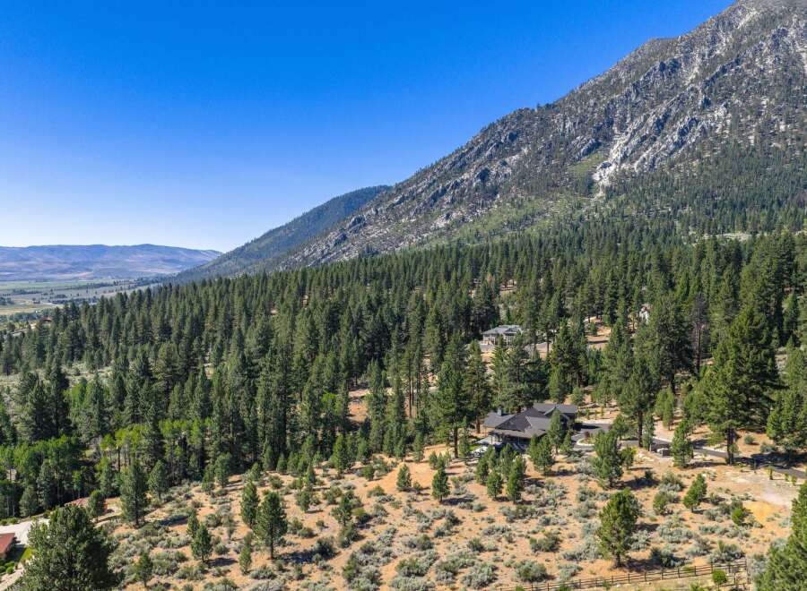 Nestled amidst a dense pine forest and rolling hills, this property offers a serene mountain retreat.