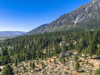 Nestled amidst a dense pine forest and rolling hills, this property offers a serene mountain retreat.