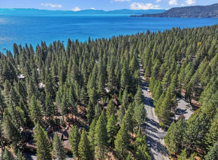 Experience the ultimate lakeside living with this stunning aerial view of homes nestled among tall pine trees, offering breathtaking vistas of a vast, blue lake and distant mountains.
